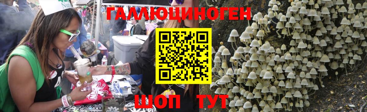 Галлюциногенные грибы MAGIC MUSHROOMS Татарск