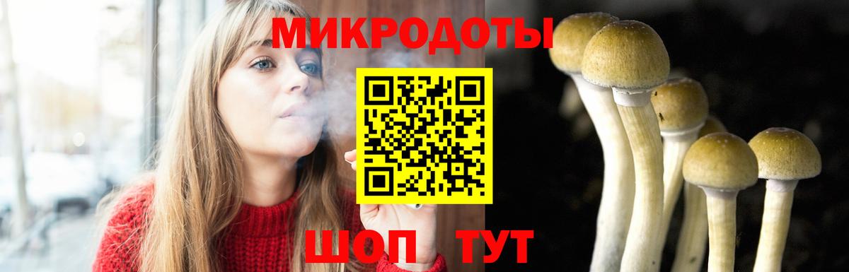 Галлюциногенные грибы Cubensis  купить   Татарск  Вход с VPN 